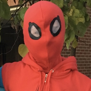 Team Page: Alex's Avengers